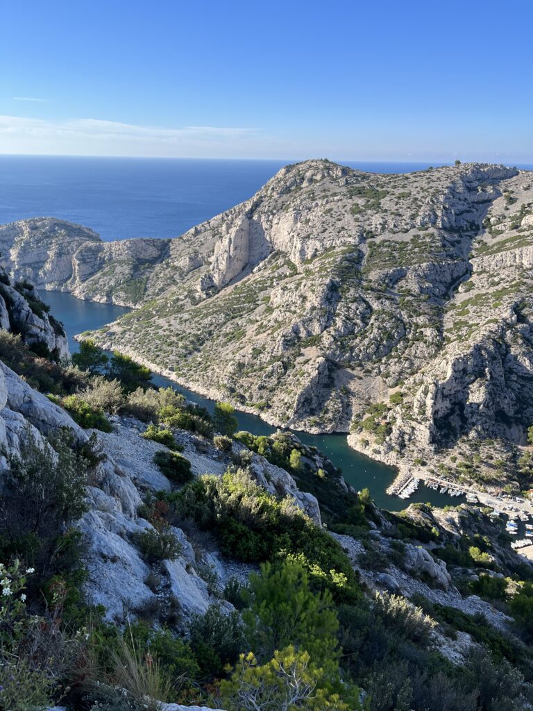 Paesaggio Calanques di Marsiglia tipica vegetazione di gariga a picco sul mare 